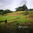  Terrain for sale in Tilaran, Guanacaste, Tilaran