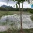  Земельный участок for sale in Makok Nuea, Phatthalung, Makok Nuea, Khuan Khanun, Phatthalung