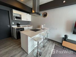 1 Schlafzimmer Appartement zu vermieten im Mata Redonda, San Jose, San Jose