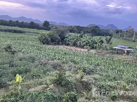 ขายบ้านเดี่ยว 1 ห้องนอน ใน ลำนารายณ์, ลพบุรี, ลำนารายณ์, ชัยบาดาล, ลพบุรี, ไทย