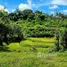  Terreno (Parcela) en venta en Terok Aik Belik, Lombok, Terok Aik Belik