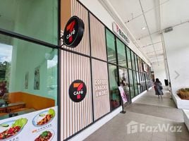 Now Residences에서 임대할 스튜디오입니다 펜트하우스, Angeles City, 팜 팡가, 중앙 루손