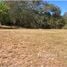  Land for sale in Hojancha, Guanacaste, Hojancha