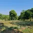  Land for sale in Chiang Rai, Tha Sai, Mueang Chiang Rai, Chiang Rai