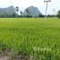 N/A Land for sale in Cha-Am, Phetchaburi Beautiful land in Cha Am for Sale 