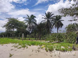  Land for sale in Atlantida, La Ceiba, Atlantida