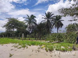  Terreno (Parcela) en venta en La Ceiba, Atlantida, La Ceiba