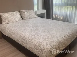 อพาร์ทเม้นท์ 1 ห้องนอน ให้เช่า ในโครงการ ชาโตว์ อินทาวน์ สุขุมวิท 62/1, บางจาก