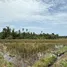 在Tabanan, 里岛出售的 土地, Balian, Tabanan