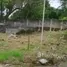 Terreno (Parcela) en venta en Rainbow Village , Caloocan City