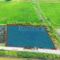  Земельный участок for sale in Khlong Yong, Nakhon Pathom, Khlong Yong, Phutthamonthon