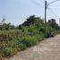  Земельный участок for sale in Khlong Yong, Nakhon Pathom, Khlong Yong, Phutthamonthon