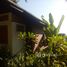 1 Bedroom Villa for rent at The Ocean Phangan Homestay, Ban Tai, Ko Pha-Ngan, Surat Thani