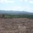  Land for sale in La Pintada, Cocle, El Harino, La Pintada