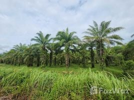  Terreno (Parcela) en venta en Tailandia, Khok Kloi, Takua Thung, Phangnga, Tailandia