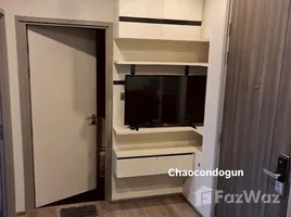 คอนโด 1 ห้องนอน ให้เช่า ในโครงการ วิซดอม อเวนิว รัชดา - ลาดพร้าว, จอมพล