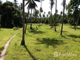  Grundstück zu verkaufen in Koh Samui, Surat Thani, Na Mueang