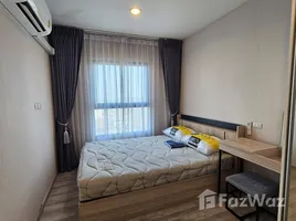 อพาร์ทเม้นท์ 1 ห้องนอน ให้เช่า ในโครงการ พลัม คอนโด เซ็นทรัล สเตชั่น, เสาธงหิน, บางใหญ่, นนทบุรี