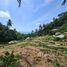  Grundstück zu verkaufen in Koh Samui, Surat Thani, Maret