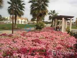 N/A Land for sale in , Dubai Al Mizhar 1