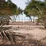  Land for sale at AL Jurf, Al Jurf, Ghantoot, Abu Dhabi, United Arab Emirates