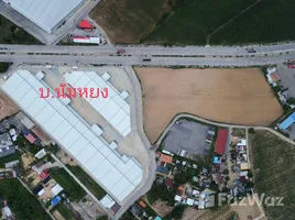 ขายที่ดิน ใน บางละมุง, พัทยา, บางละมุง