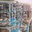 4 Habitación Apartamento en venta en Cavalli Couture, Wasl Square, Al Safa