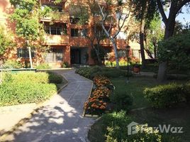 3 Habitación Apartamento en venta en Nunoa, San Jode de Maipo