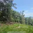 Земельный участок for sale in Чалонг, Пхукет, Чалонг, Пхукет Тощн