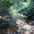  Land for sale in Mueang Kai, Chiang Mai, Mueang Kai, Mae Taeng, Chiang Mai