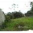  Land for sale in Maresias, Sao Sebastiao, Maresias