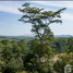  Земельный участок for sale in Pa Khlok, Пхукет, Pa Khlok