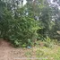  Земельный участок for sale in Чалонг, Пхукет, Чалонг, Пхукет Тощн