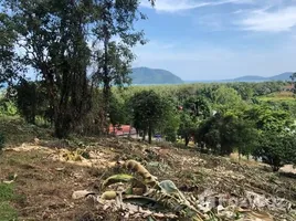 ขายที่ดิน ใน ราไวย์, ภูเก็ต, ราไวย์