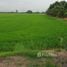  Land for sale in Thailand, Bang Nam Priao, Chachoengsao, Thailand