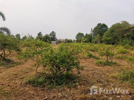  Terrain for sale in Udon Thani, Na Di, Mueang Udon Thani, Udon Thani
