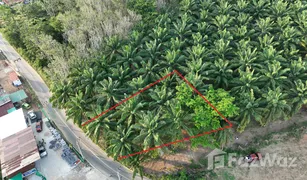 N/A Grundstück zu verkaufen in Pa Khlok, Phuket 