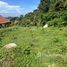  Land for sale in Karon Beach, Karon, Karon