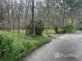 ขายที่ดิน ใน เชิงทะเล, ภูเก็ต, เชิงทะเล