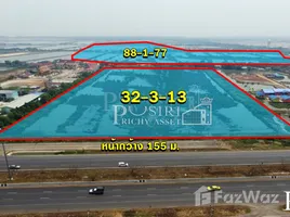 ขายที่ดิน ใน บางแก้ว, สมุทรสงคราม, บางแก้ว, เมืองสมุทรสงคราม, สมุทรสงคราม, ไทย