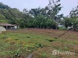 Terrain à vendre à Turrialba, Cartago, Turrialba