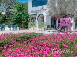 ขายร้านขายของ ใน เนินพระ, ระยอง, เนินพระ, เมืองระยอง, ระยอง, ไทย