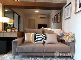 1 Bedroom Apartment for rent at Life Sukhumvit 48, Phra Khanong, Khlong Toei, Bangkok