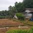  Land for sale in Sai Noi, Nonthaburi, Thawi Watthana, Sai Noi