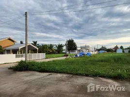 ขายที่ดิน ใน หนองแฝก, เชียงใหม่, หนองแฝก, สารภี, เชียงใหม่, ไทย