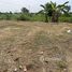  Land for sale in Saraburi, Nong No, Mueang Saraburi, Saraburi