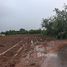  Земельный участок for sale in Ban Kok, Chaiyaphum, Ban Kok, Chatturat, Chaiyaphum