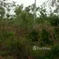 ขายที่ดิน ใน เชียงเพ็ง, อุดรธานี, เชียงเพ็ง, กุดจับ, อุดรธานี, ไทย