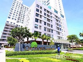 1 Phòng ngủ Chung cư for rent at Orchard Garden, Phường 9, Phú Nhuận