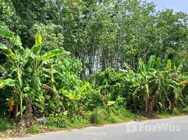 ขายที่ดิน ใน เทพกระษัตรี, ภูเก็ต, เทพกระษัตรี, ถลาง